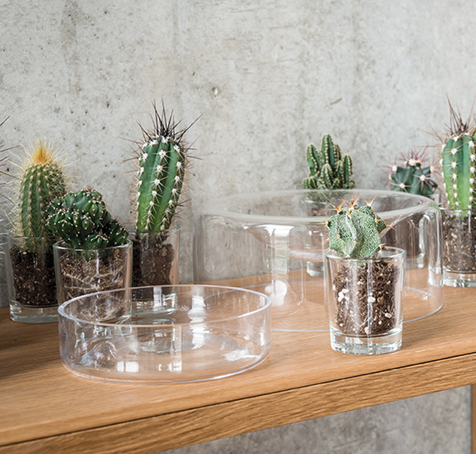 Sengfelder Schönbuch - Glasschale Jar