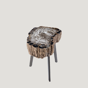 Sengfelder 11-Janua-Moebel-bc05-Stomp-Stone-Beistellstisch-Tisch-versteinertes-Holz-Massivholz-Stahlgestell.webp
