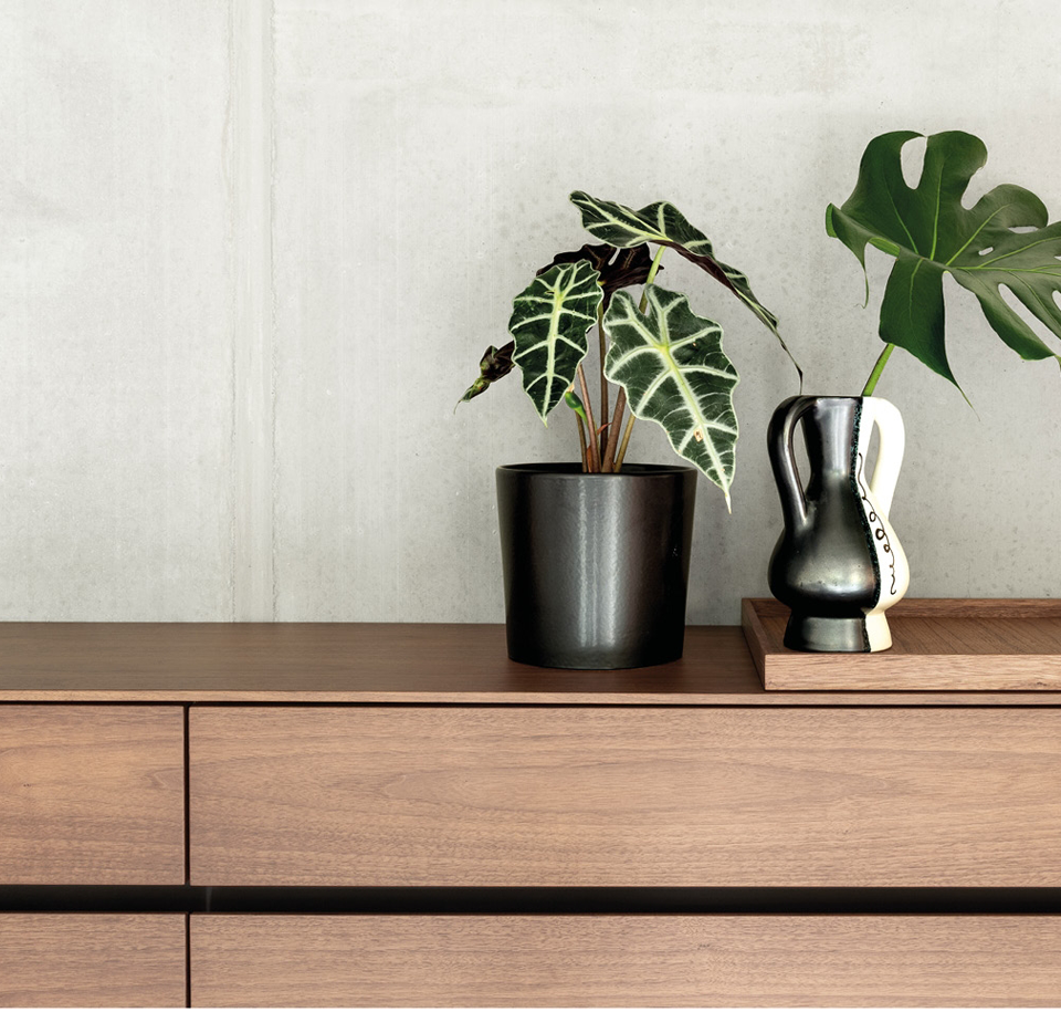 Sengfelder Schönbuch - Schuhschrank Cover