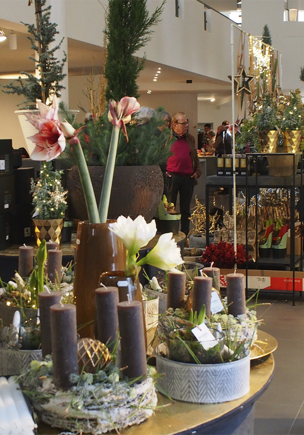 Sengfelder 05.10.15-Natur-Pur-Karussel-6.webp