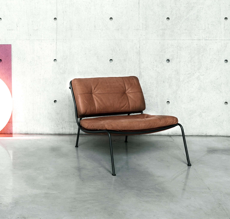 Sengfelder Living Divani - Sessel Carbon Frog